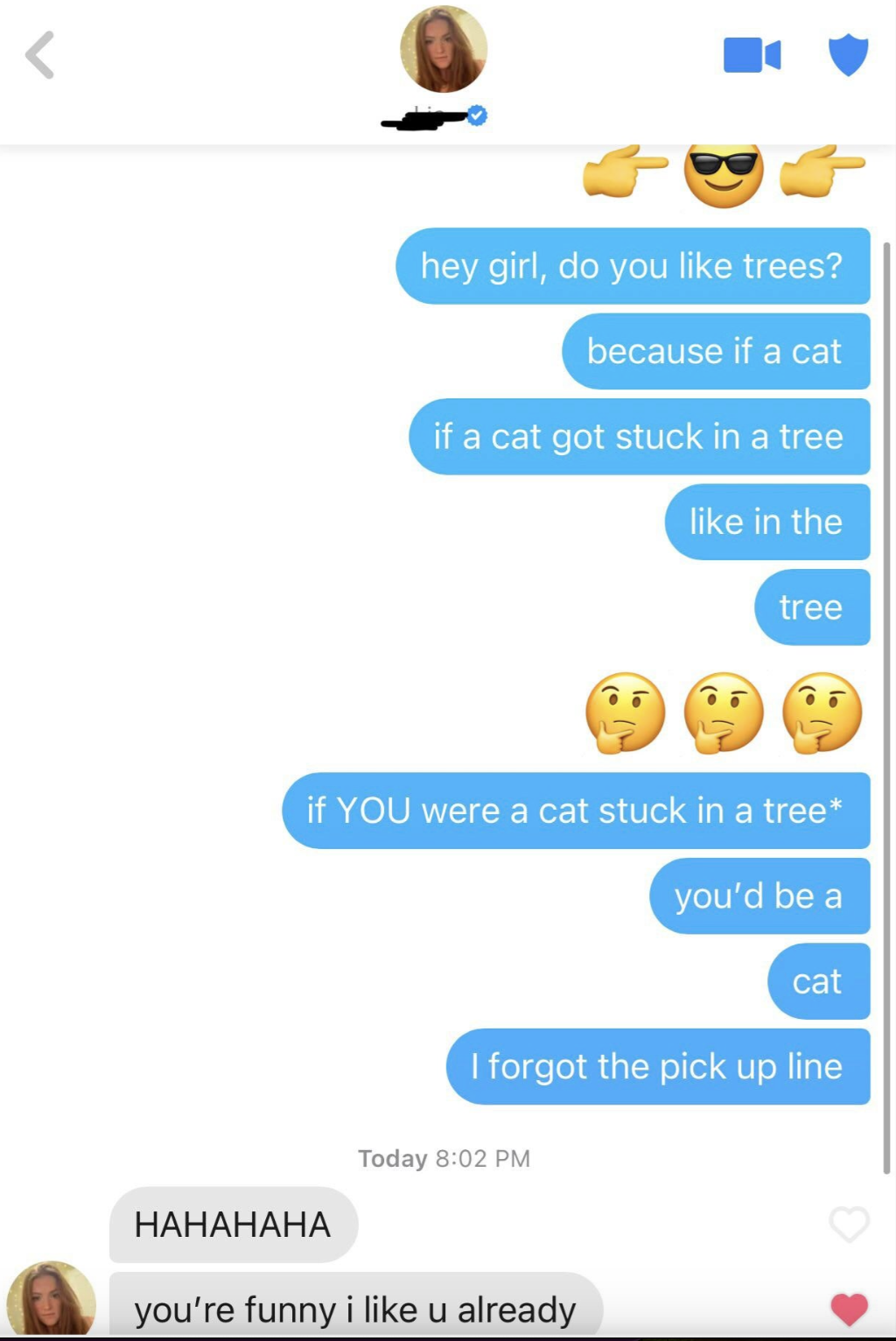 if you were a cat in a tree -